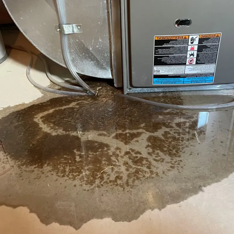 Pipe Burst and Leak Restoration in Reminderville, OH